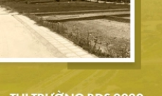 Thị trường Bất động sản - Khi đất nền bị "bỏ quên"